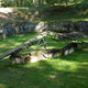 A Ponari burning pit where Nazis attempted to destroy evidence of mass executions. (Image: Gregor Jamroski)